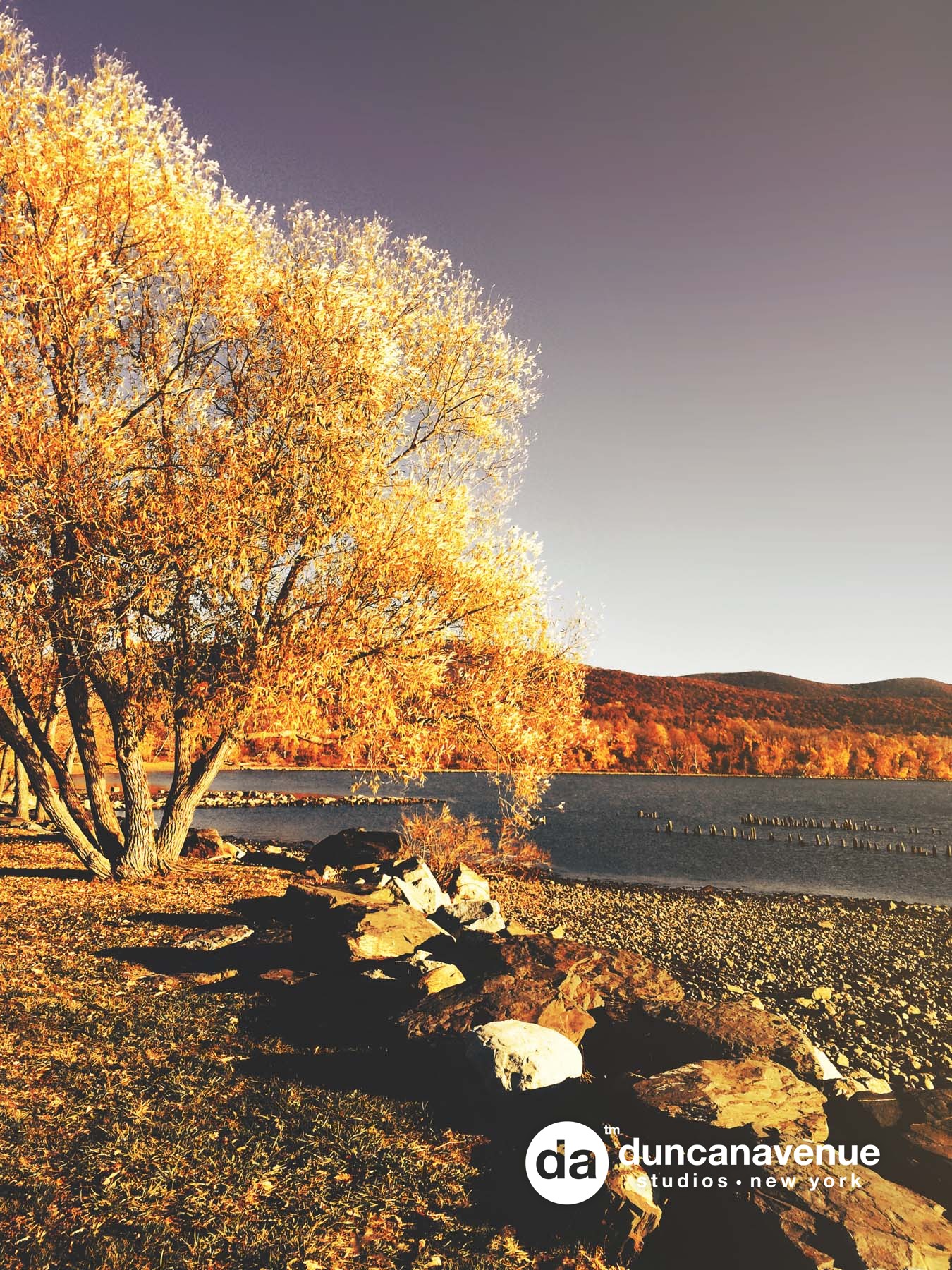 Fall Season in the Hudson Valley – Fine Art Nature Photography by Maxwell Alexander